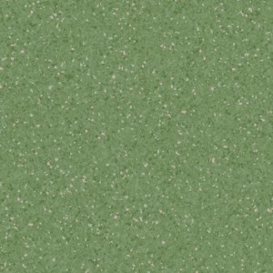 WYKŁADZINA TARKETT PRIMO PREMIUM PRIMO DARK GREEN 0681 szer. -2m 