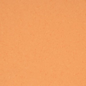 WYKŁADZINA GERFLOR MIPOLAM SYMBIOZ 6025 TANGELO 