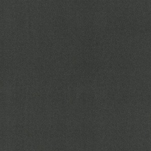 WYKŁADZINA LENTEX RANGER DENVER E98 / 603-04 szer. 2m   