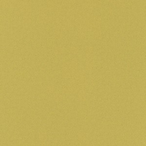 WYKŁADZINA LENTEX RANGER DENVER E55 / 603-07 szer. 2m  