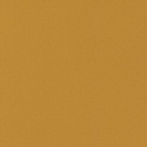 WYKŁADZINA LENTEX RANGER DENVER E66 / 603-08 szer. 2m   