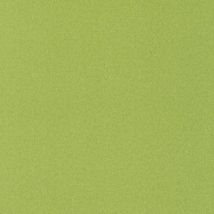 WYKŁADZINA LENTEX RANGER DEVON E22 / 603-11 szer. 2m  