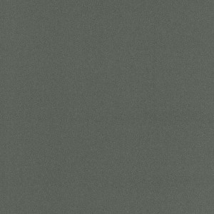 WYKŁADZINA LENTEX RANGER DENVER E98 / 603-03 szer. 4m 