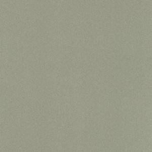 WYKŁADZINA LENTEX RANGER DEVON E90 / 603-02 szer. 4m 