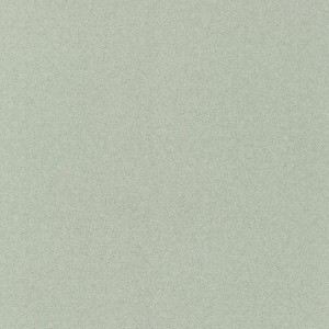 WYKŁADZINA LENTEX RANGER RANGER E09 / 603-01 szer. 4m  