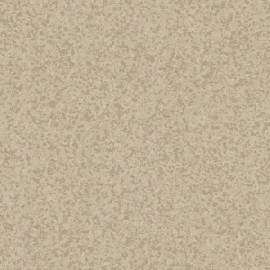 WYKŁADZINA TARKETT PRIMO SAFE.T PRIMO DARK WARM BEIGE 0801 szer.-2m 
