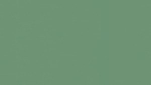 WYKŁADZINA TARKETT LINOLEUM ETRUSCO xf²™ (2.5 mm) - BASIL 056 szer.-2m 