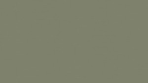 WYKŁADZINA TARKETT LINOLEUM ETRUSCO xf²™ Bfl 2,5 mm - CROCODILE 091 szer.-2m 