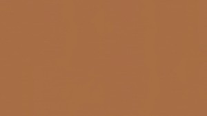 WYKŁADZINA TARKETT LINOLEUM ETRUSCO xf²™ Bfl 2,5 mm - GINGER 038 szer.-2m 