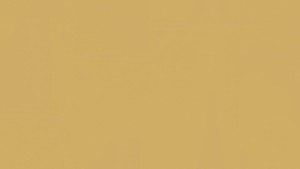 WYKŁADZINA TARKETT LINOLEUM ETRUSCO xf²™ Bfl 2,5 mm - HONEY 012 szer.-2m 