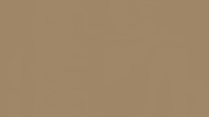 WYKŁADZINA TARKETT LINOLEUM ETRUSCO xf²™ Bfl 2,5 mm - KRAFT 032 szer.-2m 