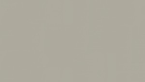 WYKŁADZINA TARKETT LINOLEUM ETRUSCO xf²™ Bfl 2,5 mm - METAL 001 szer.-2m  