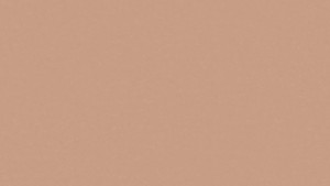 WYKŁADZINA TARKETT LINOLEUM ORIGINALE xf² (2.5mm) - BLOSSOM szer.-2m   