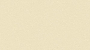 WYKŁADZINA TARKETT LINOLEUM ORIGINALE xf² (2.5mm) - PEARL szer.-2m  