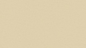 WYKŁADZINA TARKETT LINOLEUM ORIGINALE xf² (2.5mm) - RAFFIA szer.-2m  