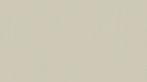 WYKŁADZINA TARKETT LINOLEUM ORIGINALE xf² Bfl (2.5mm) - FOAM 402 szer.-2m  