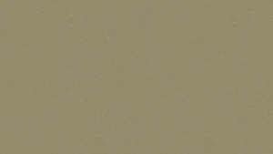 WYKŁADZINA TARKETT LINOLEUM ORIGINALE xf² Bfl (2.5mm) - LICHEN 495 szer.-2m  