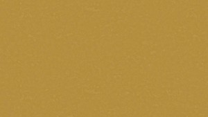 WYKŁADZINA TARKETT LINOLEUM ORIGINALE xf² Bfl (2.5mm) - OCHRE 428 szer.-2m  