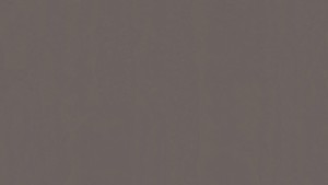 WYKŁADZINA TARKETT LINOLEUM ORIGINALE xf² Bfl (2.5mm) - PEPPER 473 szer.-2m 