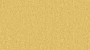 WYKŁADZINA TARKETT LINOLEUM STYLE EMME xf²™ (2,5 mm) - GOLD 728 szer.-2m  