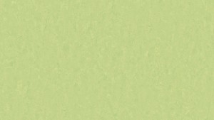 WYKŁADZINA TARKETT LINOLEUM STYLE EMME xf²™ (2,5 mm) - MOJITO 755 szer.-2m  