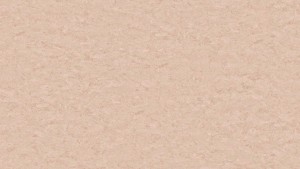 WYKŁADZINA TARKETT LINOLEUM STYLE EMME xf²™ (2,5 mm) - NUDE 723 szer.-2m  