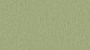 WYKŁADZINA TARKETT LINOLEUM STYLE EMME xf²™ (2,5 mm) - PEARS 753 szer.-2m  