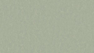 WYKŁADZINA TARKETT LINOLEUM STYLE EMME xf²™ (2,5 mm) - PISTACHIO 758 szer.-2m  