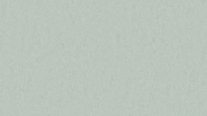 WYKŁADZINA TARKETT LINOLEUM STYLE EMME xf²™ Bfl (2,5 mm) - CAROLINA 760 szer.-2m  