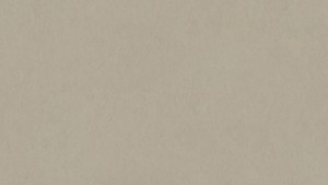 WYKŁADZINA TARKETT LINOLEUM STYLE EMME xf²™ Bfl (2,5 mm) - CENERE 201 szer.-2m   