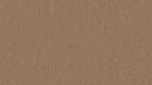 WYKŁADZINA TARKETT LINOLEUM STYLE EMME xf²™ Bfl (2,5 mm) - CINNAMMON 731 szer.-2m 