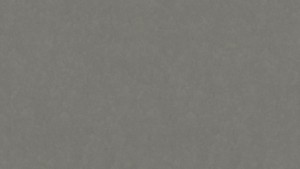 WYKŁADZINA TARKETT LINOLEUM STYLE EMME xf²™ Bfl (2,5 mm) - FERRO 205 szer.-2m 