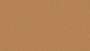 WYKŁADZINA TARKETT LINOLEUM STYLE EMME xf²™ Bfl (2,5 mm) - FOX 734 szer.-2m 