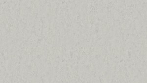 WYKŁADZINA TARKETT LINOLEUM STYLE EMME xf²™ Bfl (2,5 mm) - KOALA 794 szer.-2m  