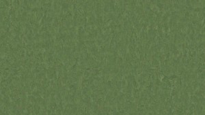 WYKŁADZINA TARKETT LINOLEUM STYLE EMME xf²™ Bfl (2,5 mm) - PINE 796 szer.-2m  