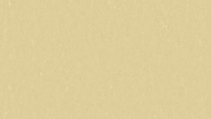 WYKŁADZINA TARKETT LINOLEUM STYLE EMME xf²™ Bfl (2,5 mm) - TAN 719 szer.-2m 