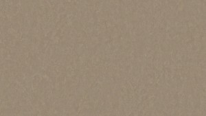 WYKŁADZINA TARKETT LINOLEUM STYLE EMME xf²™ Bfl (2,5 mm) - TOBACCO 730 szer.-2m 