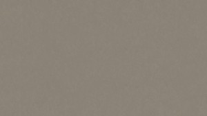 WYKŁADZINA TARKETT LINOLEUM STYLE EMME xf²™ Bfl (2,5 mm) - VELLUTO 203 szer.-2m 