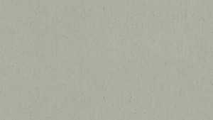 WYKŁADZINA TARKETT LINOLEUM TRENTINO xf²™ Bfl (2,5 mm) - SALT 501 szer.-2m  