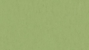 WYKŁADZINA TARKETT LINOLEUM VENETO SICURO xf²™ R10 - APPLE GREEN 754 szer.-2m  