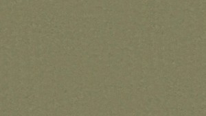 WYKŁADZINA TARKETT LINOLEUM VENETO SICURO xf²™ R10 - KHAKI 757 szer.-2m 