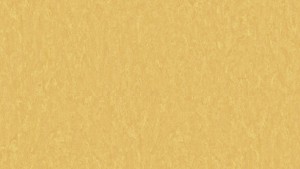 WYKŁADZINA TARKETT LINOLEUM VENETO SICURO xf²™ R10 - SUNFLOWER 628 szer.-2m  