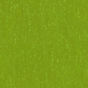 WYKŁADZINA TARKETT LINOLEUM TRENTINO xf²™ SILENCIO (3,8 mm) - LIME 551 szer.-2m 