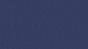 WYKŁADZINA TARKETT LINOLEUM VENETO xf²™ (2.5 mm) - MIDNIGHT 768 szer.-2m 