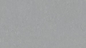 WYKŁADZINA TARKETT LINOLEUM VENETO xf²™ (2.5 mm) - PEWTER 685 szer.-2m   