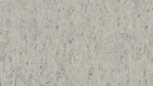 WYKŁADZINA TARKETT LINOLEUM VENETO xf²™ (2.5 mm) - PLATINUM 684 szer.-2m  