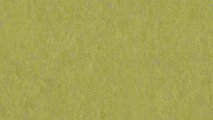 WYKŁADZINA TARKETT LINOLEUM VENETO xf²™ (3.2 mm) - ABSINTHE 695 szer.-2m 