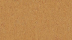WYKŁADZINA TARKETT LINOLEUM VENETO xf²™ (3.2 mm) - AMBER 636 szer.-2m 