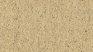 WYKŁADZINA TARKETT LINOLEUM VENETO xf²™ Bfl (2.5 mm) - CORK 679 szer.-2m 