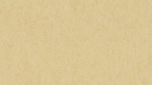 WYKŁADZINA TARKETT LINOLEUM VENETO xf²™ Bfl (2.5 mm) - EGGSHELL 619 szer.-2m  